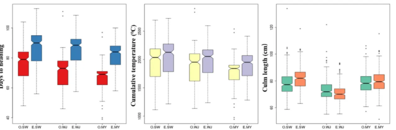Fig. 2.   Days  to  heading,  cumulative  temperature  from  transplanting  to  heading,  and  culm  length  of  Korean  rice  varieties  in  different  environments