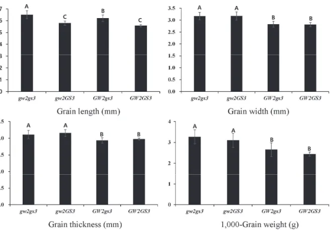 Fig. 6. Comparison of GL, GW, GT and TGW among combinations with GW2 and GS3 genotype in the F 2:3  population.