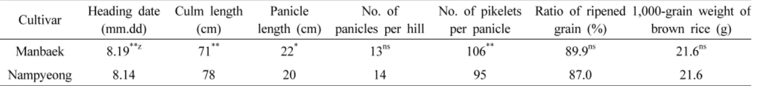 Fig. 3. Plant type at maturing stage (A) and grain shape of rough, brown, and milled rice (B).