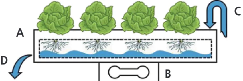 Fig. 1. A schematic side view of one channel with a load-cell for measuring the weight: NFT channel (A), load-cell (B), nutrient  solution supply (C), and drain (D).