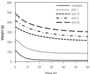 Fig. 2. Change in the total weights of plant, nutrient solution, and channel [W(t)] with time just after the supply of nutrient  solution stopped