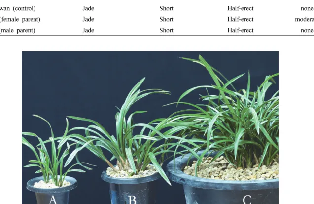Table 2. Characteristics of leaf and date of fully opened bloom of a new Cymbidium cultivar, ‘Ariul’