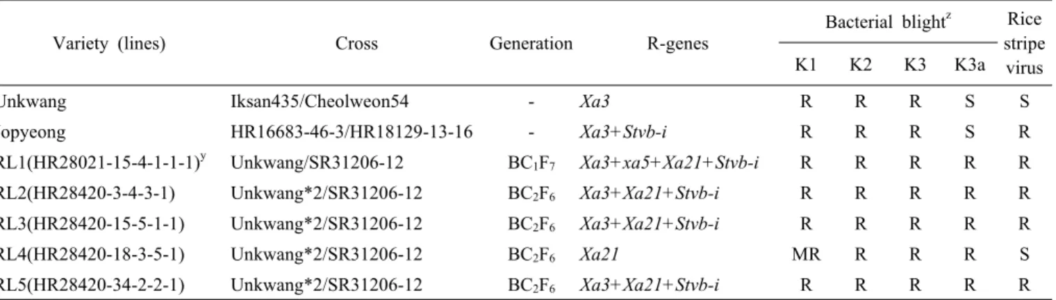 Table 1. Pedigree and resistance genes of varieties and breeding lines and their resistance reaction to bacterial blight and rice stripe  virus by bio-assay.