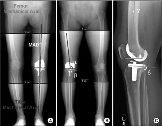 Fig. 1. Radiological evaluation.