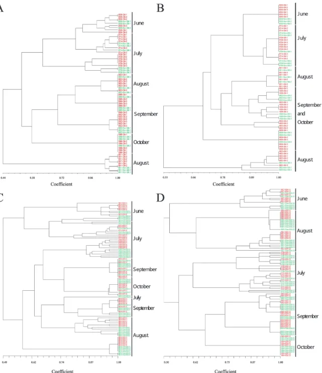 Fig. 3 UPGMA cluster analysis based on PCR-DGGE band pattern results from GM and Non-GM rice