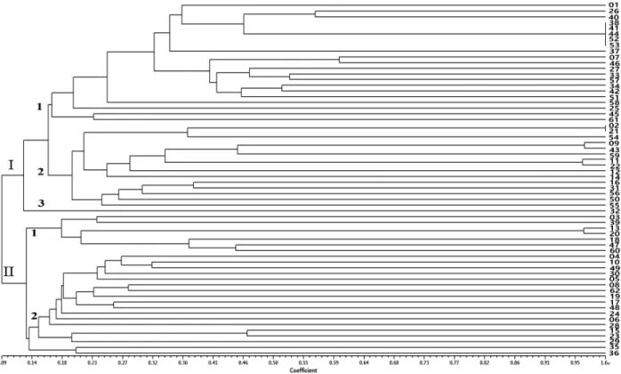 Fig. 2. Phenogram of 62 pear accessions resulting from UPGMA analysis based on Jaccard’s similarity coefficient