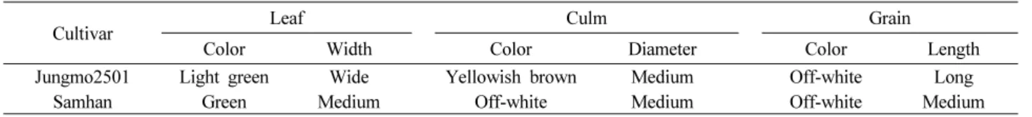 Fig. 2. Photos of cultivar ‘Samhan (left)’ and ‘Jungmo2501 (right)’ at heading time.
