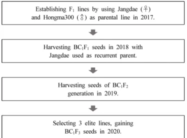 Fig. 1.   Selection  steps  of  kenaf  elite  lines.
