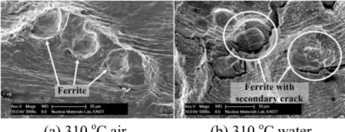 Fig.  6  Fatigue  surface  and  sectioned  fatigue  crack  in  a  initiation stage showing microstructural dependence    균열  진전이  방해된  흔적으로  생각된다