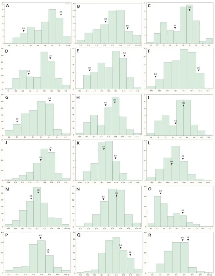 Fig. 2. Distribution of panicle and yield-related traits in 2012. PL (A), TNN (B), NR (C), NS (D), NPr (E), NSPr (F), MNSPr (G),  NSr (H), NSSr (I), MNSSr (J), Sr/Pr (K), SSr/ SPr (L), CL (M), FL (N), PN (O), TGW (P), RRG (Q), Yield (R)
