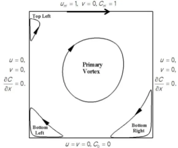 Fig. 2 Schematic view of the 2-D lid-driven cavity flow