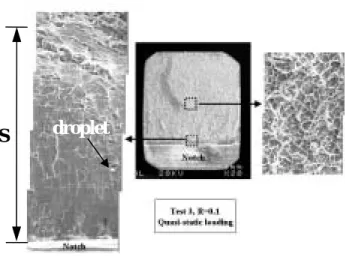 Fig. 4 SEM images of fracture surfaces in Zr-BAM specimens under impact and quasi-static loading conditions