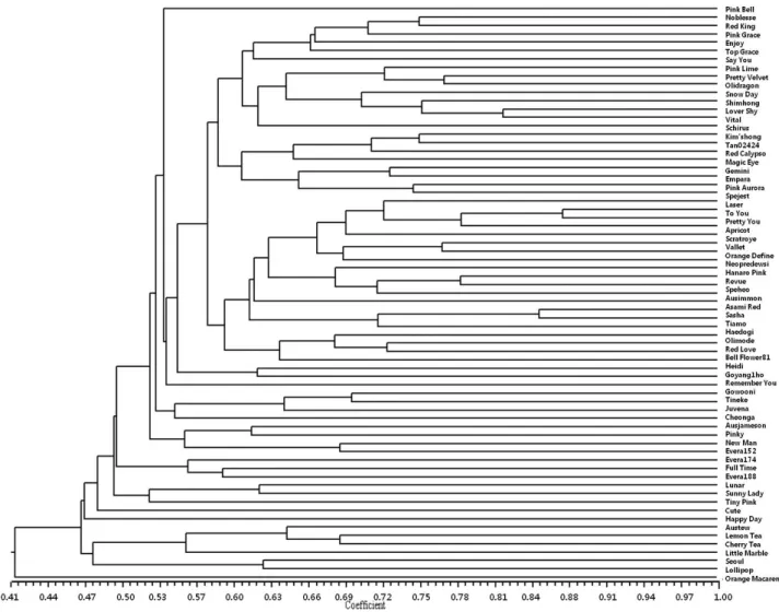 Fig. 2. Phenetic dendrogram of 69 rose varieties based on simple sequence repeat markers