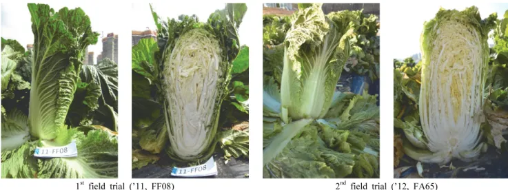 Fig. 2. Outer and inner shape of ‘Wonkyo20038ho’ inbred line planting at 2011 and 2012.