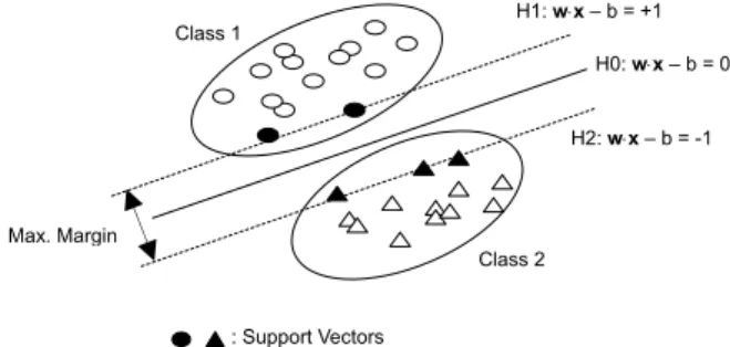 Fig. 8 Binary Classification using support vectors 
