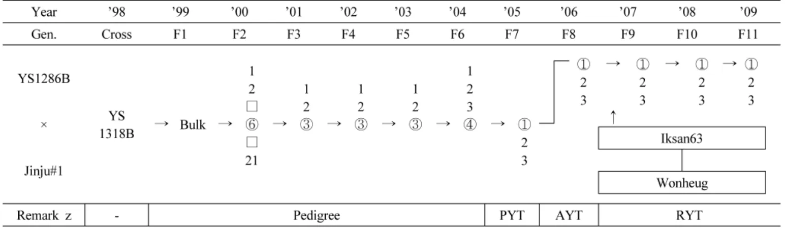 Fig. 1. Pedigree diagram of ‘Wonheug’.