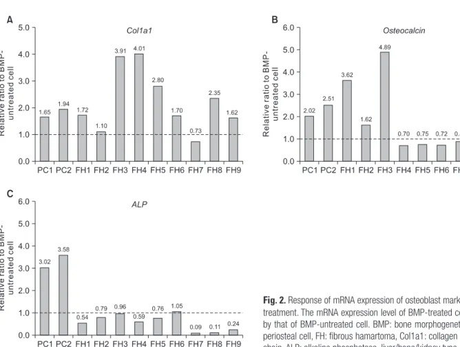 Fig. 2. Response of mRNA expression of osteoblast markers to rhBMP2  treatment. The mRNA expression level of BMP-treated cell was divided  by that of BMP-untreated cell