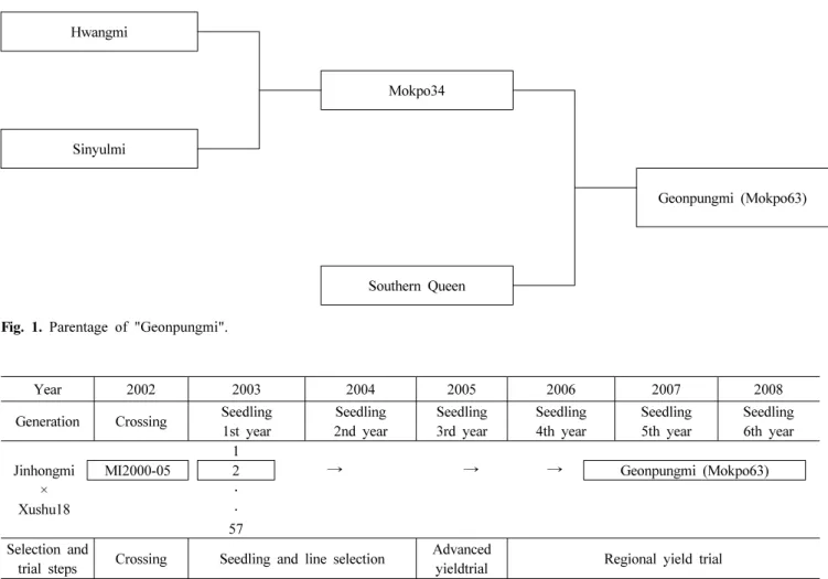 Fig. 1. Parentage of "Geonpungmi".