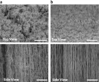 Fig. 1 Scanning electron microscope images of vertically  aligned  carbon  nanotubes  without  (a)  (13   nm-diameter  MWNT)  or  with  water-assisted  method