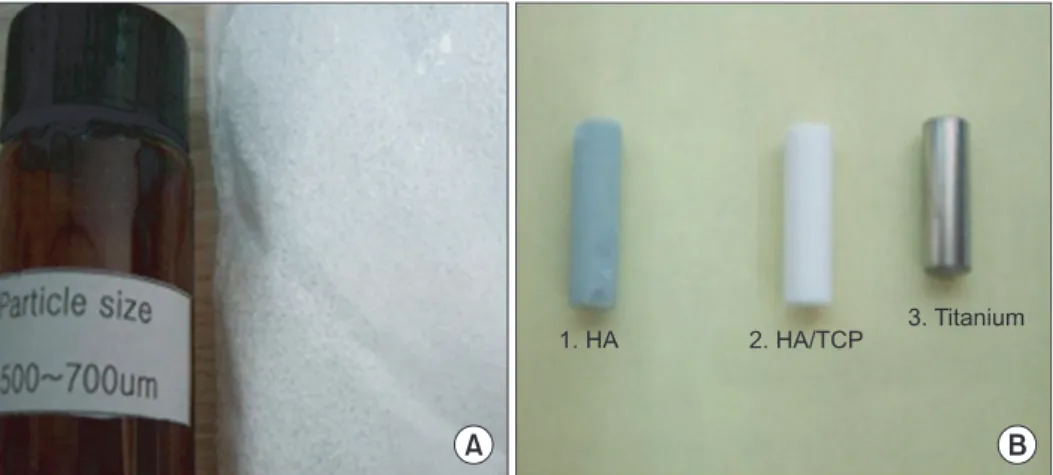 Fig. 2. The diagram of 4 holes (divided into four treatment groups). 