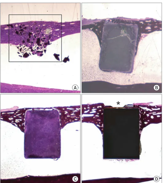 Fig. 6. Comparison of the histological  fin dings of the hematoxylin and  eosin-stained sections among the 4 groups (A: 