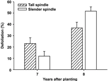 Fig.  1.  Defoliation  by  marssonina  blotch  in  ‘Fuji’/M.9  apple  trees  under  two  different  training  systems  in  7   and  8  years  after  planting