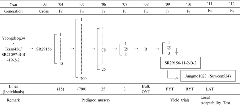 Fig. 1. Pedigree diagram of ‘Jungmo1023’.