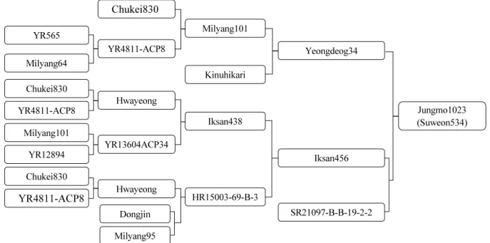Fig. 2. Genealogical diagram of ‘Jungmo1023’.