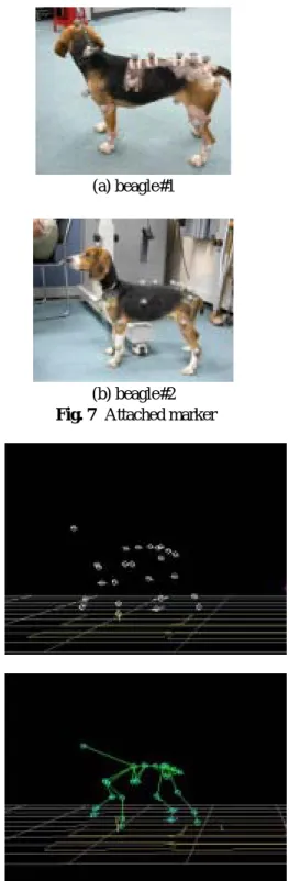 Fig. 6  Beagle#2 CT scan image (4 cut) 
