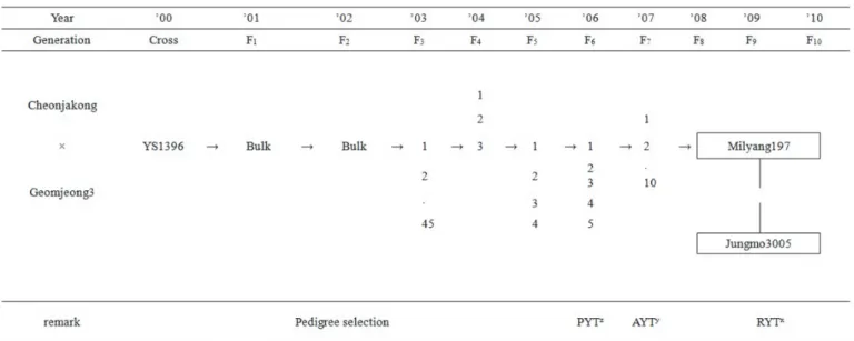 fig. 1. Pedigree diagram of ‘Jungmo3005’,  z :Preliminary yield trial,  y :Advanced yield trial,  x :Regional yield trial