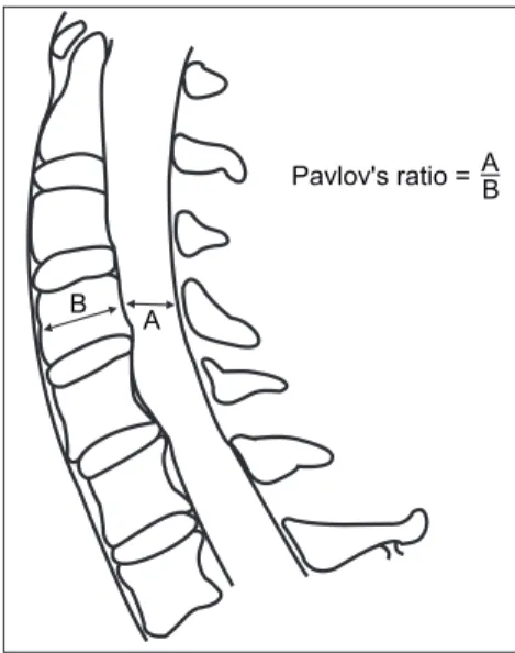 Fig. 1. Pavlov's ratio at each level from C3 to C7.