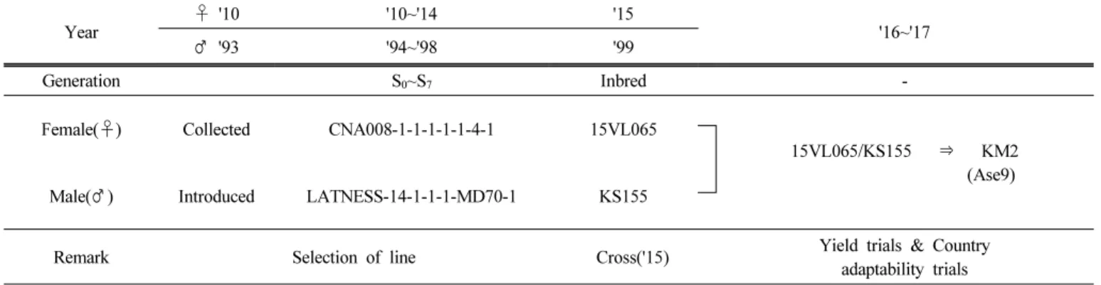 Fig. 2.   Plant  type  and  ear  appearance  of  ‘KM2’  and  ‘LVN10’
