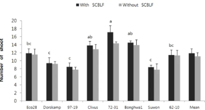 Fig. 2. Survival rate of the poplar clones treated with SCBLF. 