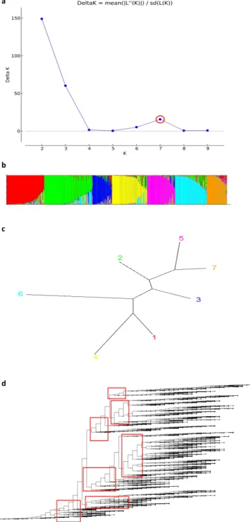 Table 6. Single-marker-analysis by agricultural trait for 614 resources  core  collection  candidate.