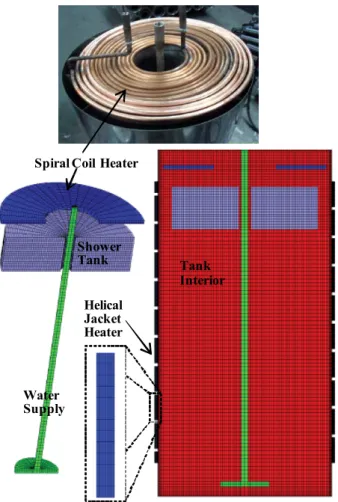 Fig. 3 Sectional view of numerical grid of the TST 