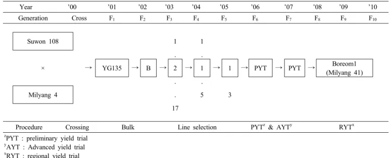 Fig. 2. Genealogical diagram of ‘Boreom1’.