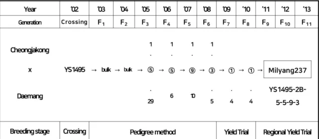 Fig. 1.   Pedigree  diagram  of  ‘Cheongmiin’.