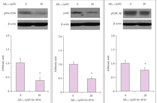 Fig. 4. Effects of Aβ 25-35  on intracellular protein levels of NSCs in Western blot. Western blotting analysis showed that treatment with 20 µM 