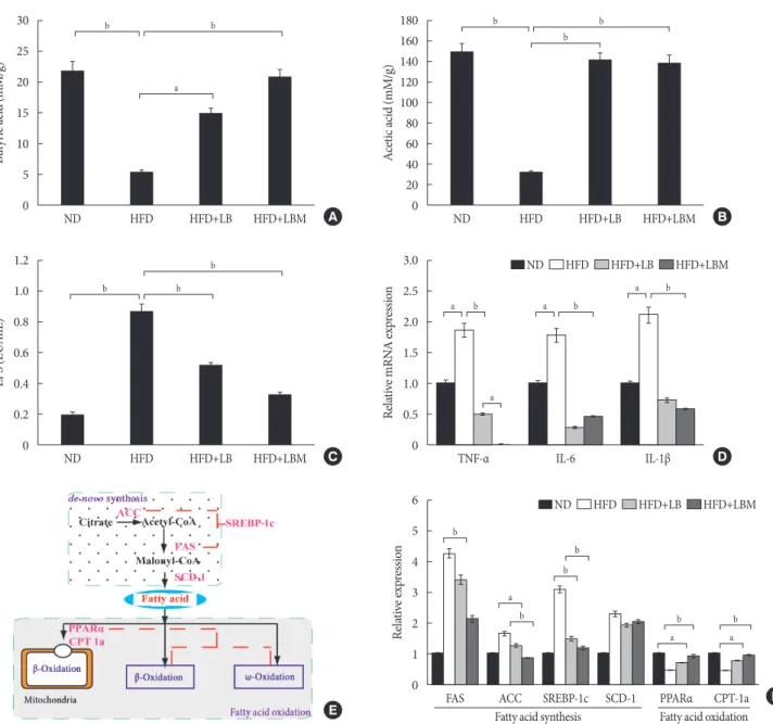 Fig. 4. Effect of probiotic combination LBM on the concentration of short-chain organic acids and endotoxin (lipopolysaccharide  [LPS]) in cecal content