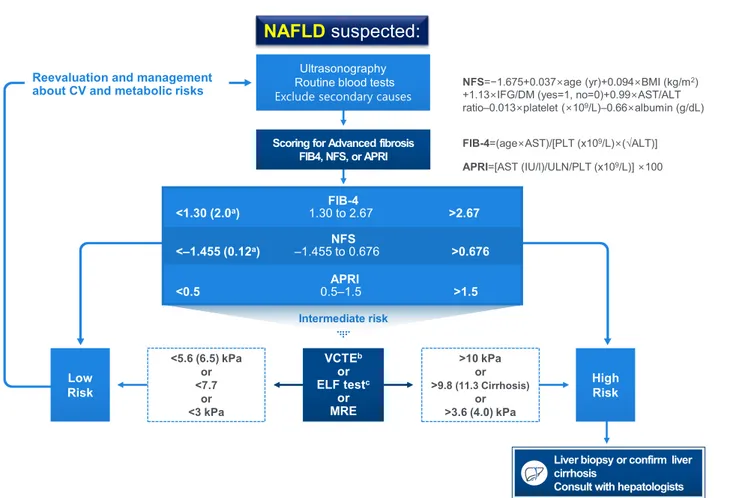 Fig. 1. Algorithm for non-alcoholic fatty liver disease (NAFLD) evaluation. CV, cardiovascular; NFS, NAFLD fibrosis score; BMI,  body mass index; IFG, impaired fasting glucose; DM, diabetes mellitus; AST, aspartate aminotransferase; ALT, alanine  aminotran