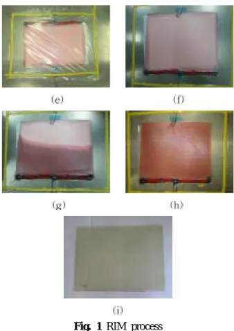 Fig. 1 RIM process