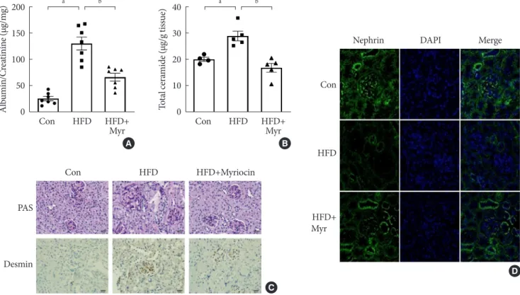 Table 2. Effect of myriocin on body weight, fasting glucose,  plasma insulin, and FFA levels in mice at 16 weeks of age