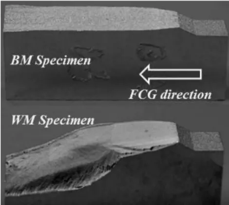 Fig. 13 Morphology of FCG path for BM and WM 전파 거동을 실험적으로 고찰하는 것이므로 변 , 동성의 영향에 대한 상세한 고찰은 차후에 보고 하고자 한다 