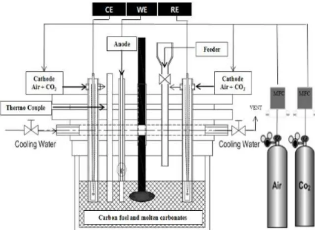 Fig. 1 Schematic diagram of the DCFC system