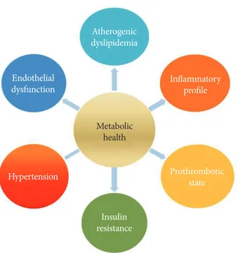 Fig. 1. The components of metabolic health and metabolic  syndrome.  Metabolichealth Atherogenic dyslipidemiaInsulinresistanceEndothelialdysfunction Inflammatoryprofile ProthromboticstateHypertension