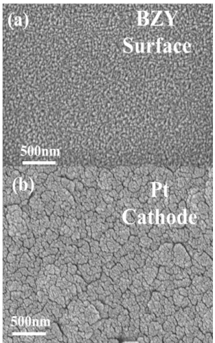 Fig.  3  Film  surface  morphologies:  (a)  Fully  dense  BZY  film (b) Porous Pt surface 