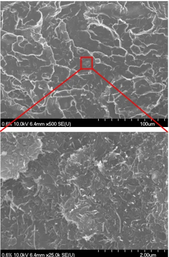 Fig. 4 SEM images for a fracture surface of MWNTs-reinforced composites (1.2 wt%)