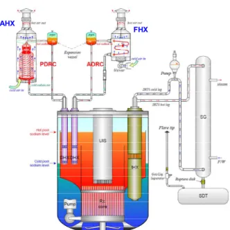 Fig. 2 Schematic of the STELLA-1 sodium test loop  성능실험  루프,  SELFA(Sodium  Thermal-hydraulic  Experiment  Loop  for  Finned-tube  sodium-to-Air  heat  exchanger)  내에  설치될  예정인  FHX 의  고온  설계  및  손상평가에  대해  다룬다
