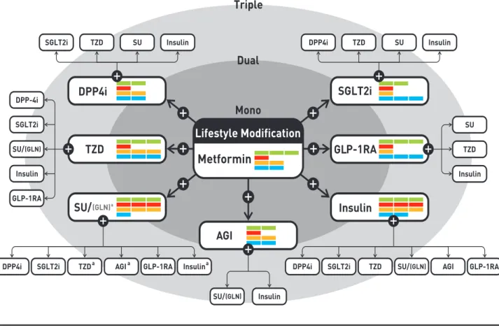 Fig. 1. Antihyperglycemic therapy algorithm for adult patients with type 2 diabetes mellitus (T2DM)