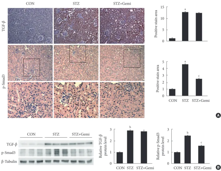 Fig. 3. Effect of gemigliptin (Gemi) on streptozotocin (STZ)-induced renopathological changes